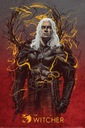 Plagát THE WITCHER, THE WITCHER 61x91cm