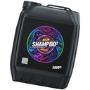 ADBL Shampoo 2 HOLO 5L Neutral Car Wash Shampoo Efficient