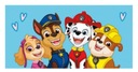 Detský uterák Paw Patrol 70x140 Marchal