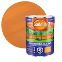 SADOLIN MODRINA 3V1 DEKORATÍVNA A OCHRANNÁ Borovica 5L