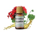 EGYPTSKÝ GERANIUM olej Aroma Institute 5 ml