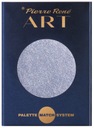 PIERRE RENE Art EYESHADOW 041