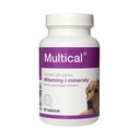 DOLVIT Multical vitamíny pre psov 90 tabliet