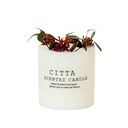 Candle Scented Citta Candles Yankee tradičná sójová sviečka