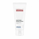 Cell Fusion C regeneračný krém 60ml