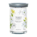 Yankee Candle MIDNIGHT JASMINE sviečka 567g TUMBLER