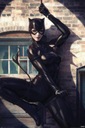 Catwoman Spot Light plagát DC Comics 61x91,5 cm