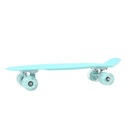 Penny board Smj mint BS-2206 PL