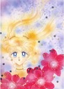 Bishoujo Senshi Sailor Moon bssm_071 A2 (vlastné)