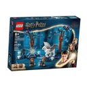 LEGO HARRY POTTER 76432 ZAKÁZANÝ LES: Kúzelný...