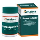 HIMALAYA RUMALAYA FORTE 60 tabliet SILNÉ KĹBY A KOST