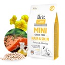 BRIT CARE DOG MINI HAIR KOŽNÉ KRMIVO PRE DOSPELÝCH PSOV LOSOS SO SLEDEMI 2 kg