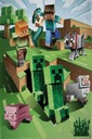 MINECRAFT FLEECE DEKA 100X150 PLED CREEPER GRA