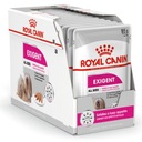 Royal Canin Dog Exigent Care - paštéta 12x85g