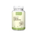 Saw palmetto 100 kapsúl x 500 mg