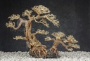 Aquasilva Mahuta aqua bonsai strom naplavené drevo