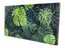 RÁMOVÝ OBRAZ PRÍRODA MONSTERA LIST 60x30cm PLÁTNO