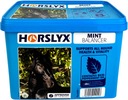 Horslyx Mint Balancer vitamínový liz pre kone Balenie: 5 kg