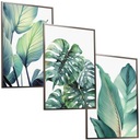 30x40 SET RÁM OBRAZY PLAGÁTY RÁM MONSTERA TROPICAL BOHO NATURE