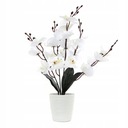 UMELÉ KVETY V ČRENÁRE Orchidea 45cm FARBY