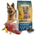 DIVINUS PERFORMANCE 20KG SUCHÉ KRÍDLO ZMES PRÍCHUTI + ZADARMO