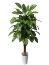 Umelé kvety Calathea Tree 120 cm