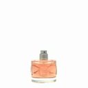 Mexx Spring is Now Woman edt 50 ml