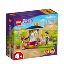 41696 LEGO FRIENDS KÚPEĽ PRE PONÍKY V STÁJNI