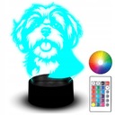 LED soška nočného svetla RGB 3D gravírovanie psa Shih Tzu Dog Animal