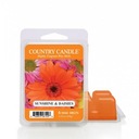 Sunshine & Daisies - Country Candle - vonný vosk 64 gramov