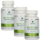 Gotu Kola štandardizovaný extrakt 500 mg 180 kapsúl