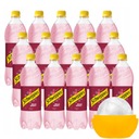 Schweppes Wild Berry Sýtený nápoj 0,85l x15