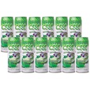 COCO COOL SADA kokosovej vody 12x520ml 100% kokos