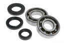 SKF HRIADEĽOVÉ LOŽISKÁ PRE HRIADEĽ APRILIA SR 50 2000-2003 DITECH morini Scarabeo