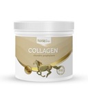 HorseLinePRO Kolagén Kolagén typu II 300g