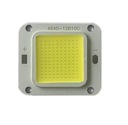 LED COB 30/50W 30V-38V + Past