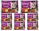 Whiskas Adult Juicy Bites v želé 32x85g