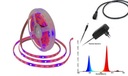KIT LED pásik 5050 IP20 5 m pre pestovanie rastlín