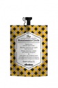 Davines Renaissance Circle Repair Mask 50 ml