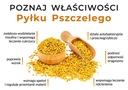 Veľká informačná tabuľa Vlastnosti peľu