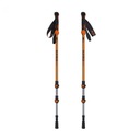 Turistické palice Alpinus Monte Rosa NX43599, alpinus, 770364.5908258435993