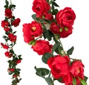 ROSE GARLAND SEDLO vinič ako živý