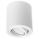 Svietidlo HALOGEN TUBE WHITE SPOT 10cm pre LED GU10