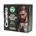 Delia Cosmetics Cameleo Men Pomáda na bradu a fúzy 10ml