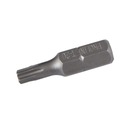 PROLINE Bit Torx Security 25mm T15 10ks.