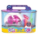 LITTLE LIVE PETS RYBY LITTLE LIVE PETS NEON BALLER FLOAT