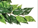 Umelá rastlina do terária Ficus Small Exo Terra EX-0308