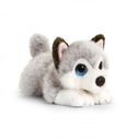 Maskot Plyšový PES HUSKY DOG 25cm