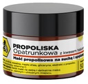 API Effect PROPOLISOVÁ MASŤ na obklady s kyselinou hyalurónovou 50g Propolis