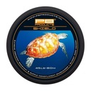 PB Product Shield Snagleader 45lb 80m vlasec/strel